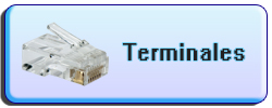 Terminales