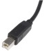 StarTech - Cable USB 2.0, StarTech, USB2HAB6, USB A a USB B, Impresora, 1.8 ,, Negro