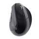 Mouse Óptico, Perfect Choice, PC-044895, USB, Inalámbrico, Negro
