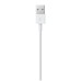 APPLE - Cable de Datos, Apple, MXLY2AM/A, USB a Lightning, 1 m, Blanco