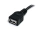 STARTECH.COM - Cable USB, Startech, USBEXTAA6BK, Extension USB A, 1.8m, Negro