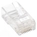 INTELLINET - Conector Plug RJ-45, Intellinet, 790055, Cat 5e, UTP, Multifilar, 100 Piezas
